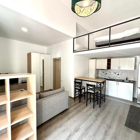 Zen House Apartment Buzau Bagian luar foto