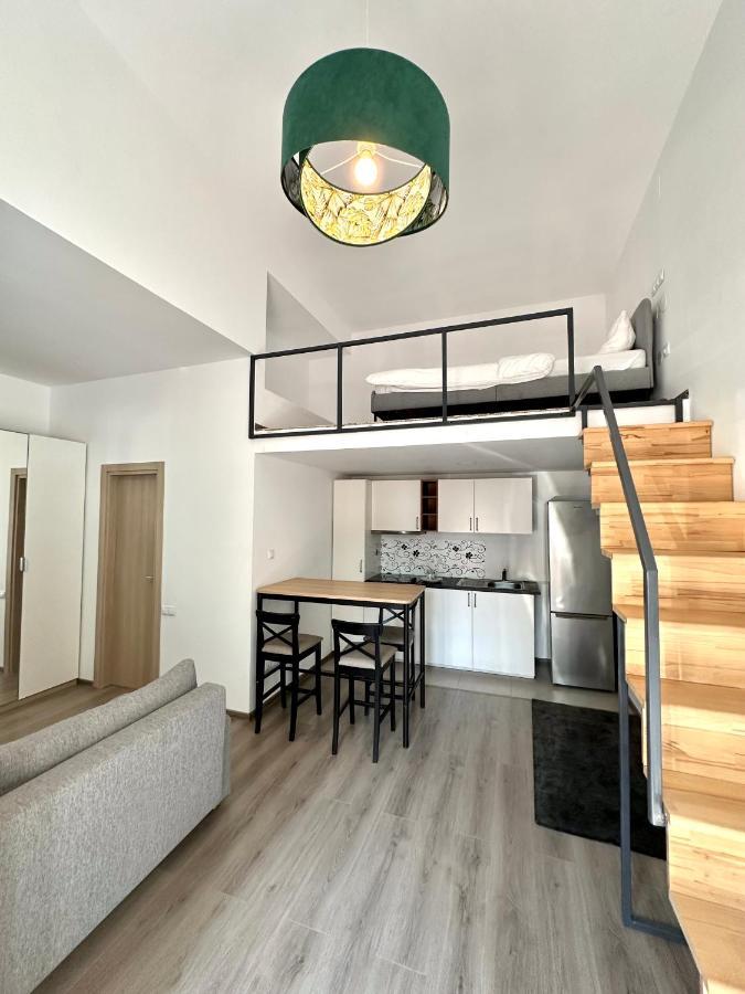 Zen House Apartment Buzau Bagian luar foto